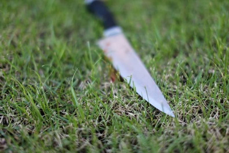 La víctima recibió más de diez puñaladas y su cabeza, cercenada con arma blanca, apareció en la maleza a 20 metros del cuerpo.