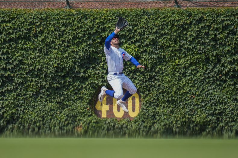 Mike Tauchman de los Cachorros de Chicago atrapa un elevado de Ryan OHearn de los Orioles de Baltimore, el sábado 17 de junio de 2023, en Chicago. (AP Foto/Erin Hooley)