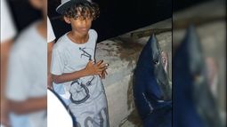 cubanos capturan un enorme tiburon azul en el malecon de la habana