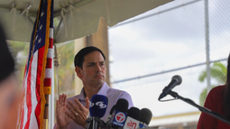 rubio vence a demings en la carrera por el senado de ee.uu.