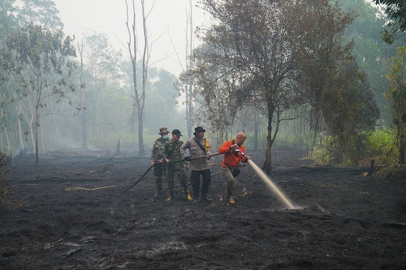 Bomberos rocían agua para apagar incendios en el bosque de Kubu Raya, Indonesia, el 12 de septiembre de 2026. (Foto AP/Archivo de Tatan Syuflana)