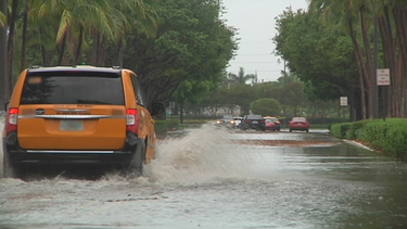 fuertes lluvias en el sur de la florida dejaron inundaciones en algunas areas bajas y derrumbe parciales