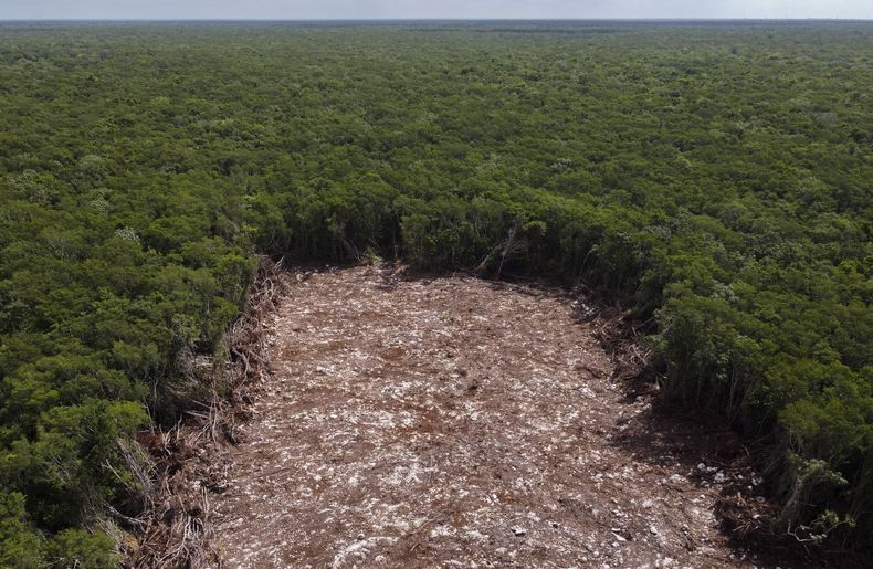 AMN-GEN MÉXICO-TREN MAYA