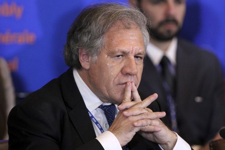 AMN-GEN_OEA-VENEZUELA-0.jpg