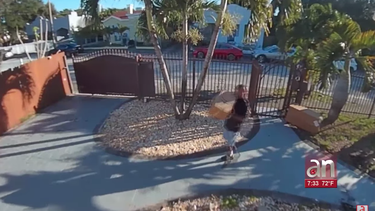captado en camara quedo un hombre robando los paquetes de varias residencias en el noroeste de miami