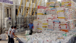 llega a cuba nueva carga de arroz desde china: mas de 1.580 toneladas de las 20.000 prometidas