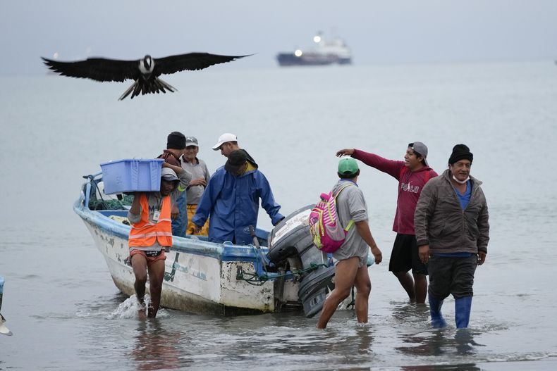 Un grupo de pescadores en Manta, Ecuador, el 24 de septiembre del 2024. (Foto AP/Dolores Ochoa)