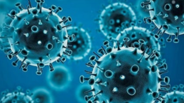 La OMS alerta: riesgo de Ómicron es muy elevado