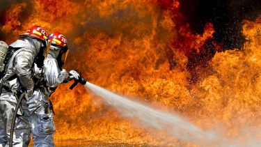 Al menos 19 personas perdieron la vida a causa de los incendios forestales en Chile