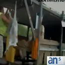 Seguimiento del matadero de cochinos