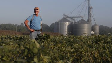 Temen que ayuda a agricultores de EEUU no será suficiente