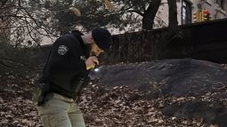 Un agente de la policía de Nueva York camina entre los arbustos y las hojas secas en Central Park, cerca de la calle 64 y Central Park West, el 6 de diciembre de 2024, en Nueva York, dentro del operativo para dar con la mochila que, según la policía, fue arrojada en el parque por la persona sospechosa de asesinar al director general de UnitedHealthcare, Brian Thompson, el 4 de diciembre. (AP Foto/Ted Shaffrey)