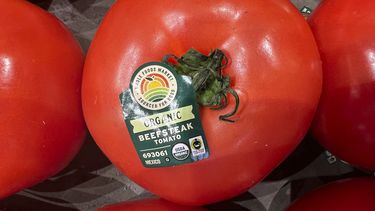 Tomates importados desde México a la venta en un supermercado, el miércoles 5 de marzo de 2025, en Miami. (AP Foto/Lynne Sladky, Archivo)