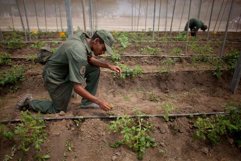 REP-GEN_VENEZUELA-EJERCITO-2.jpg