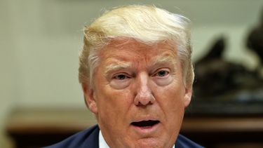 Legislador ruso critica reportes de encuentro Trump-Putin