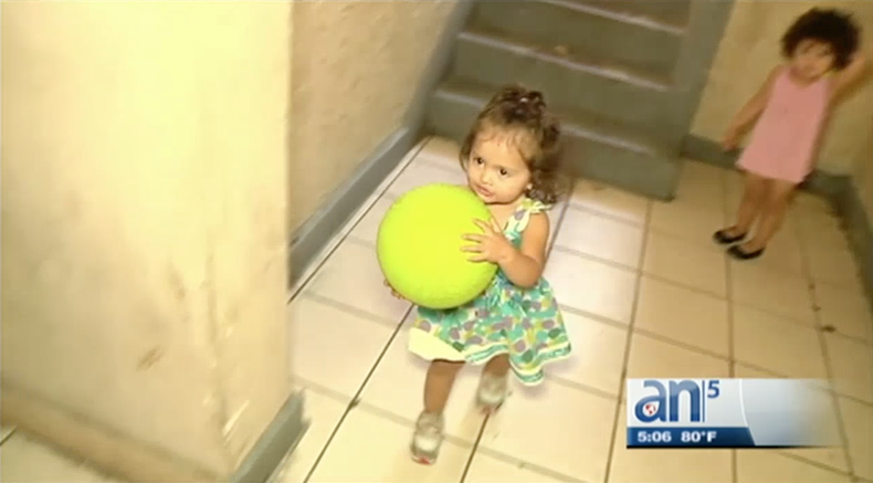 Screen Shot 2017-12-01 at 7.17.53 PM.png