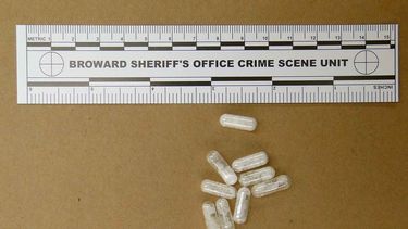 americateve | AMN-GEN_FLORIDA-FLAKKA-NUEVA_DROGA-0.jpg