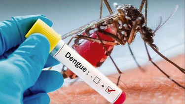 dengue en miami-dade: reportan primer caso y emiten advertencia
