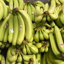 Inflación en EEUU es la más alta en cuatro décadas