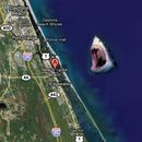 Adolescente es atacada por tiburón en Boca Ratón