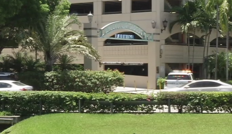 le disparan a hombre -- diana.png