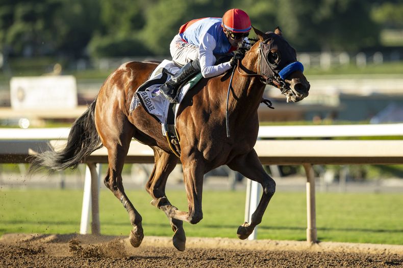 ARCHIVO - En una foto proporcionada por Benoit Photo, Muth, con el jinete Juan Hernández, se encamina a la victoria en el American Pharoah Stakes, el sábado 7 de octubre de 2023, en Arcadia, California. Favorito del Preakness, Muth quedó fuera de la segunda prueba de la Triple Corona por una fiebre. (Benoit Photo vía AP)