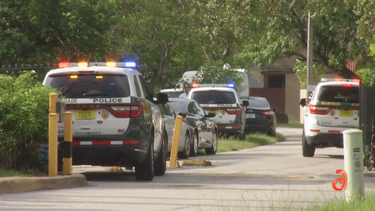 hombre que robo un arma de un guardia de seguridad termina baleado por la policia