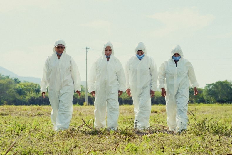 En esta imagen proporcionada por Pimienta Films mujeres buscando a sus familiares desaparecidos en el documental Volverte a ver de la directora Carolina Corral. (Pimienta Films vía AP)