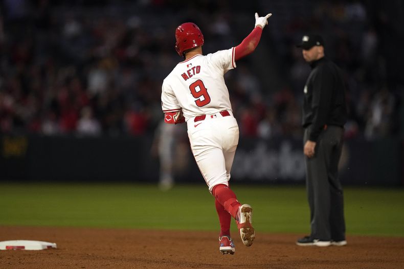 Zach Neto, de los Angelinos de Los Ángeles, festeja tras conectar un jonrón en el juego ante los Cardenales de San Luis, el miércoles 15 de mayo de 2024 (AP Foto/Mark J. Terrill)