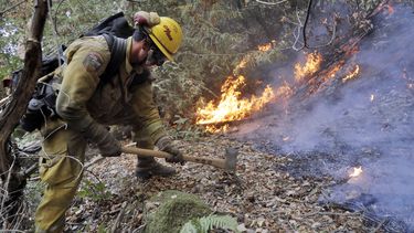 Trump no planea visitar daños por incendios en California
