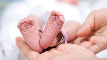 defectos congenitos son primera causa de mortalidad infantil en la isla