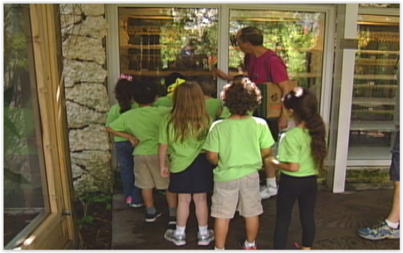 camapmento para ninos.PNG