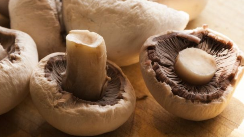 Screenshot (1916).png