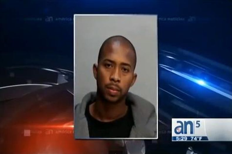 Este fin de semana reaparecieron los 15 cachorros de la raza bulldog francés que habían desaparecido la semana pasada, junto con su padre, el campeón llamado Che que ha ganado muchísimos premios en exposiciones caninas.