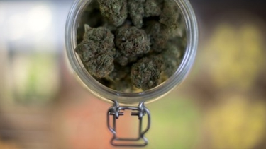 americateve | La enmienda 2, la más controvertida, buscaba legalizar el uso médico de la marihuana.