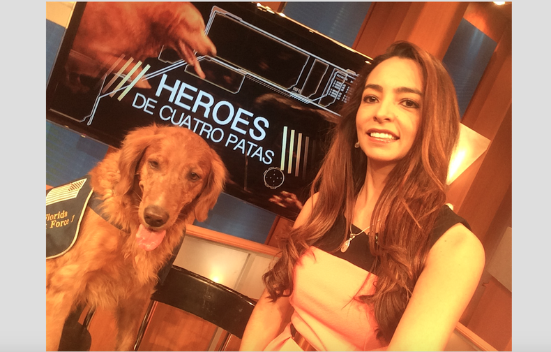 perro gina 2