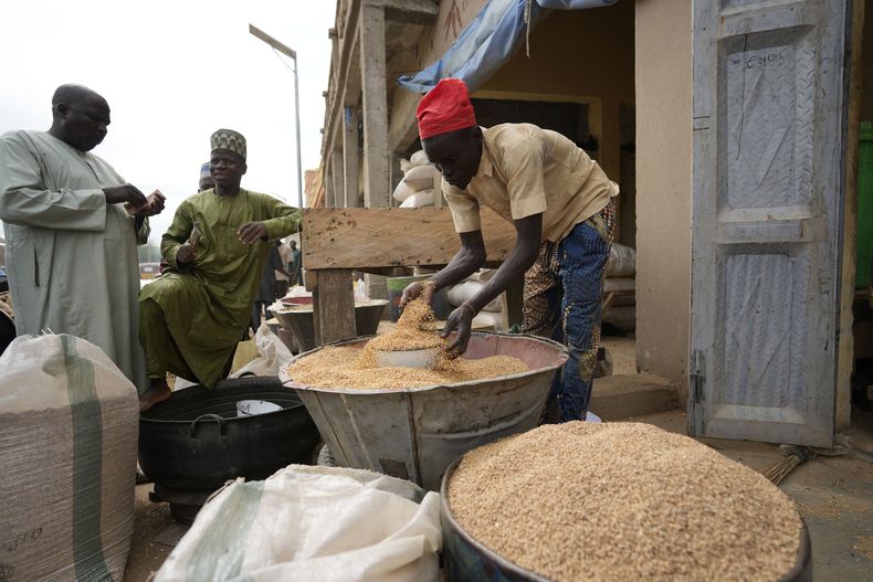 ARCHIVO - Un hombre vende granos en el Mercado Internacional de Dawanau el 14 de julio de 2023, en Kano, Nigeria. (AP Foto/Sunday Alamba, archivo)