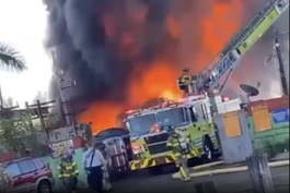 Depósito de carros chatarra se incendia en Opa-locka