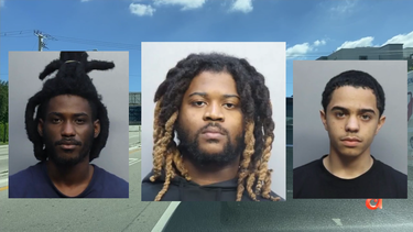 capturan a una banda que robaba cataliticos en el sur de la florida