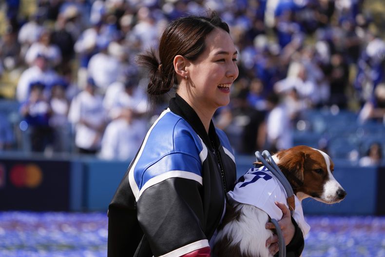 Mamiko Tanaka, esposa de Shohei Ohtani, sostiene a su perro Decoy durante el festejo por el título de los Dodgers de Los Ángeles, el viernes 1 de noviembre de 2024 (AP Foto/Mark J. Terrill)