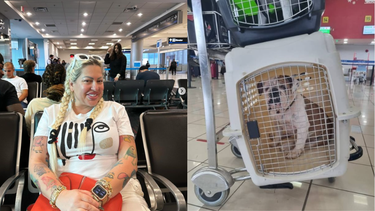 la diosa logra traer a miami a su perro que habia dejado en cuba