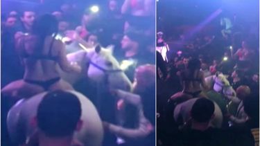 cierran discoteca mokai en miami beach por aparicion de caballo con una bailarina exotica encima en medio de la pista de baile