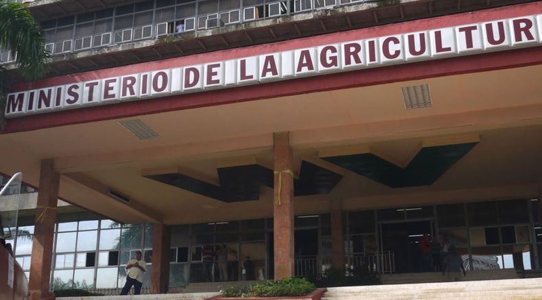 El 73% de las empresas con pérdidas pertenece al Ministerio de la Agricultura.