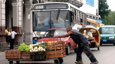 economia de cuba no sale del letargo: crece un discreto 1,1 % en el primer semestre