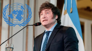 argentina se aisla la oea por sus objeciones a la agenda de ddhh, seguridad y genero que la asamblea general discutira en asuncion