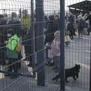 AP Explica: Cuándo usar la etiqueta de invasión en Ucrania
