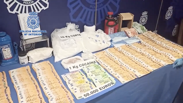 desmantelada en espana una red de trafico de droga que lavaba dinero en cuba, eeuu y republica dominicana