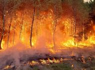 incendio forestal azota suroeste de francia; 6.000 evacuados