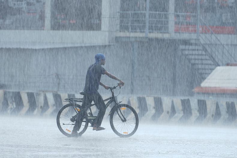 Un ciclista espera a cruzar en la calle en Chennai, India, el domingo 9 de agosto de 2026. (AP Foto/Mahesh Kumar A.)