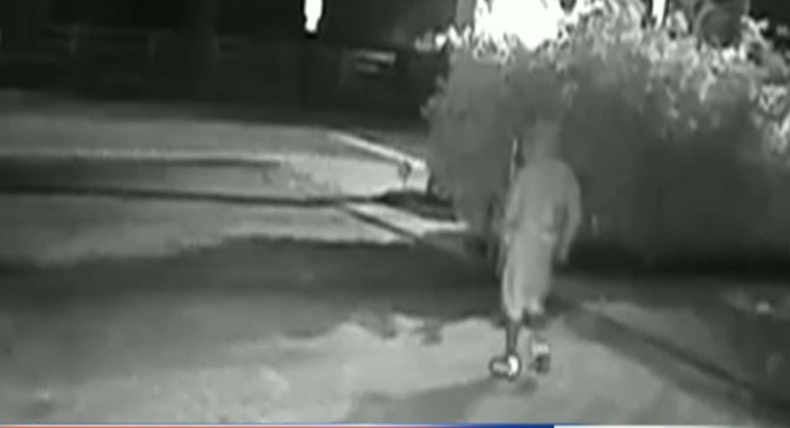 Screen Shot 2016-05-25 at 10.11.52 PM.png